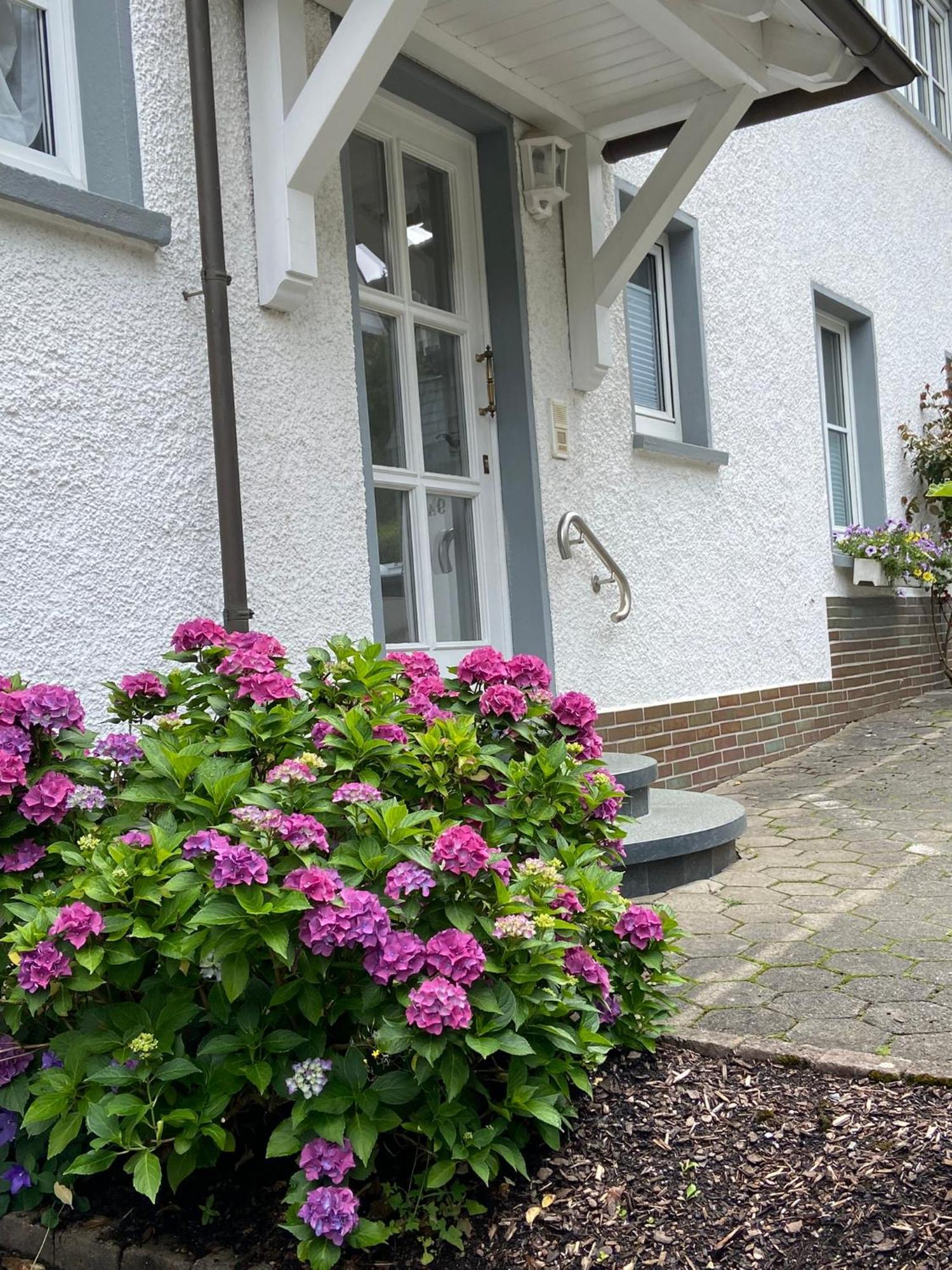 Pension / Ferienwohnung Allebrodt Lennestadt Extérieur photo